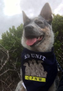K9-ASD-IMG_6054