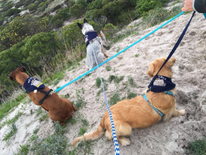 K9-Group-IMG_6058