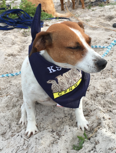 K9-JR-IMG_6061
